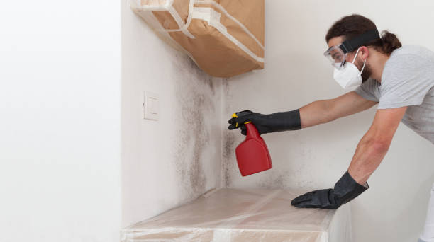 Attic Mold Remediation treatment on roof deck in Byron Center